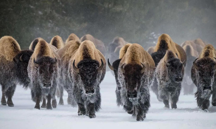 西安美冠鹏业商贸公司轮播图3