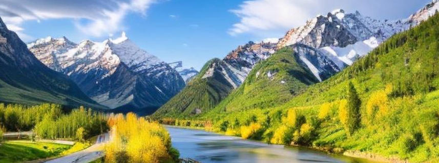 西安美冠鹏业商贸公司轮播图3